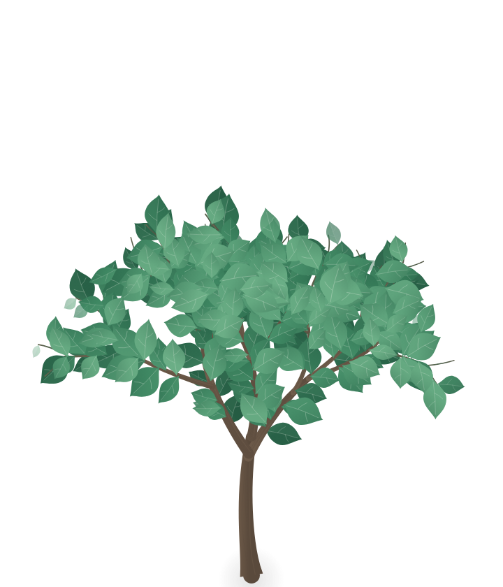 A growing tree in Greenling.